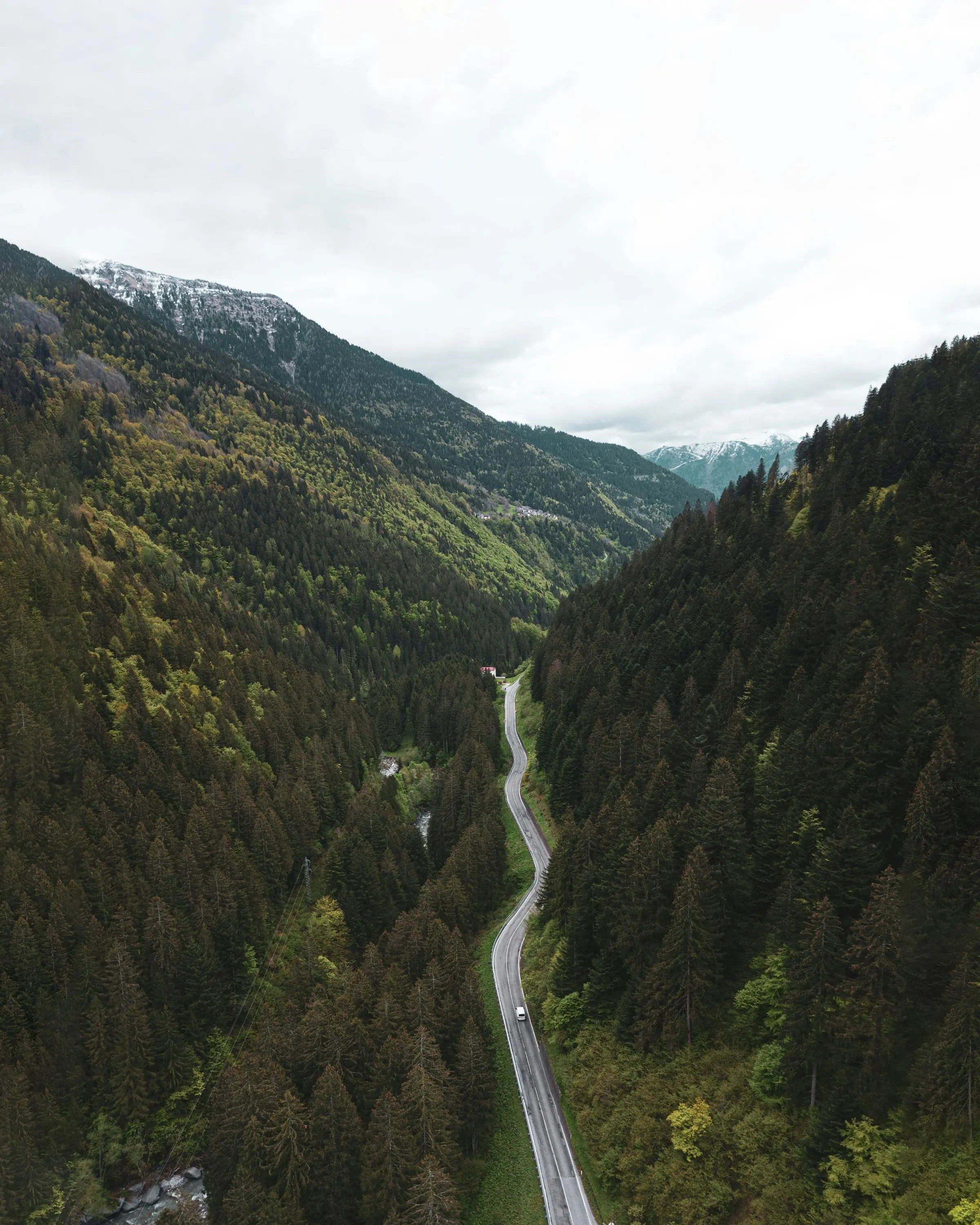 immagine spedizione in tutta italia